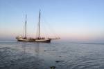 Avontuur auf den bei Ebbe freiliegenden Wattflächen im Abendlicht