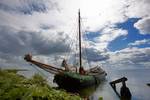 Albatros an der Rozewerf auf Marken