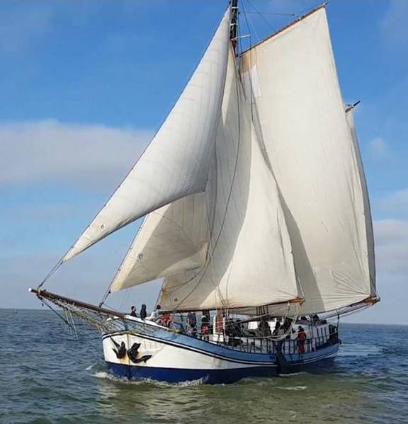 Avanti unter weißen Segeln, vom Bug aus gesehen