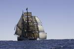 Bark Europa unter vollen Segeln auf See, von hinten gesehen