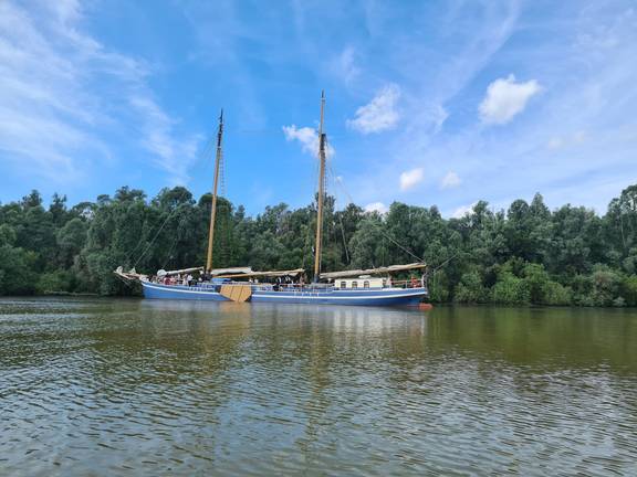 De Hester mit geborgenen Segeln an einem grünen Ufer