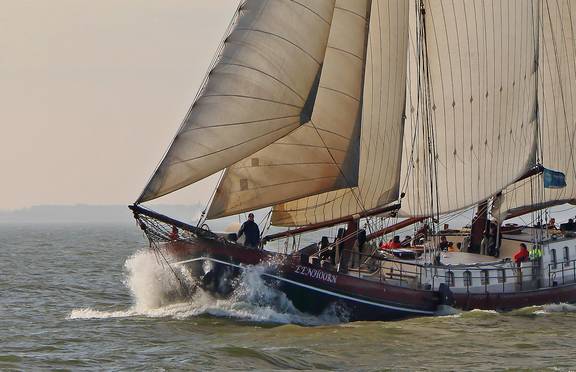 Bug der Eenhoorn schneidet unter Segeln durch die Wellen