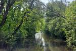 Wasserlauf zwischen Bäumen in den Weerribben-Wieden