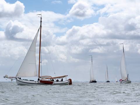 Lemsteraak Grote Jager segelt zwischen anderen Segelschiffen
