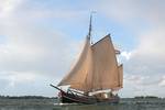 Stevenaak Helena unter braunen Segeln, von der Seite gesehen