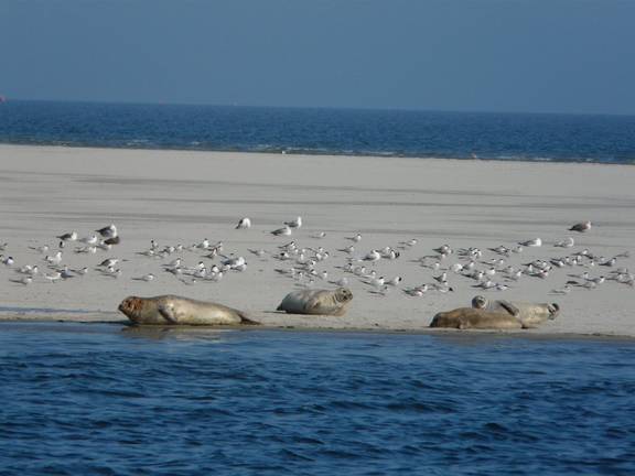 BootBootBoot Klipper Lauwerszee waddenzee Wattenmeer