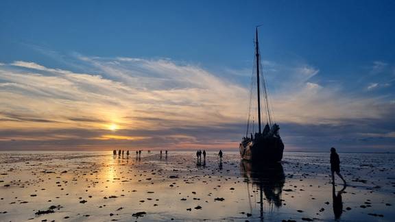 Met de Medusa droogvallen tijdens zonsondergang