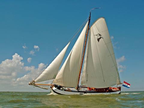 Tjalk Pelikaan unter weißen Segeln, von der Seite gesehen