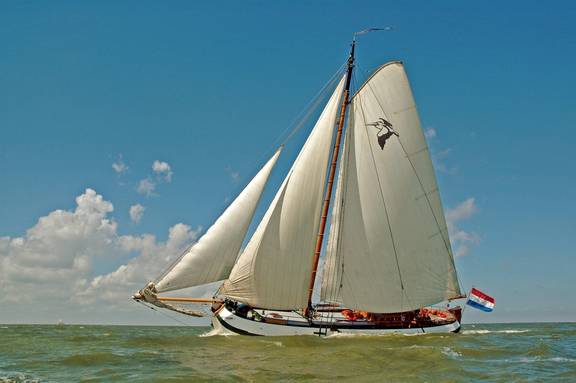 Tjalk Pelikaan unter weißen Segeln, von der Seite gesehen