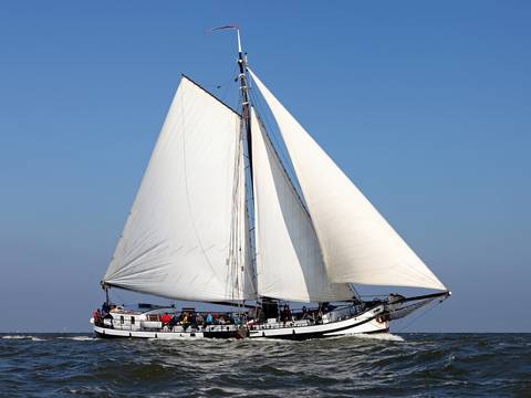 Rival mit weißen Segeln auf offenem Wasser