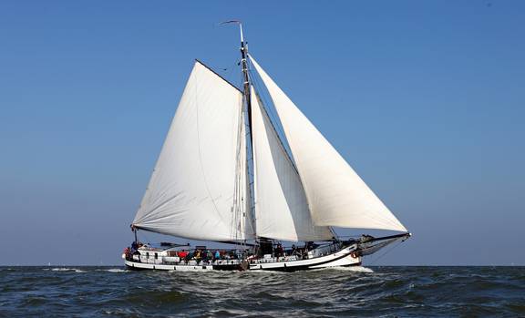 Rival mit weißen Segeln auf offenem Wasser