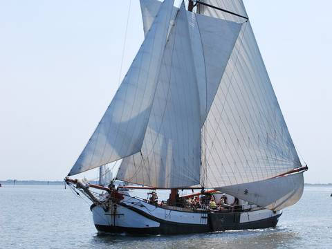Tjalk Spes Mea unter weißen Segeln, schräg von vorne gesehen