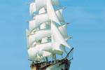 BootBootBoot bark Stedemaeght onder zeil