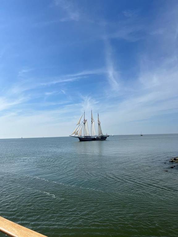 Dreimaster Vrijheid segelt auf ruhigem Wasser entlang der Küste