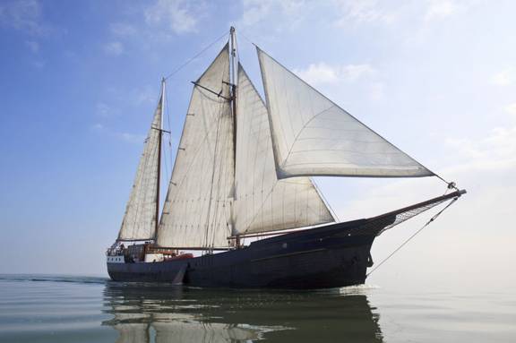 't Wapen fan Fryslân mit gesetzten weißen Segeln