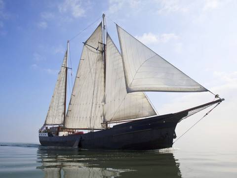't Wapen fan Fryslân mit gesetzten weißen Segeln