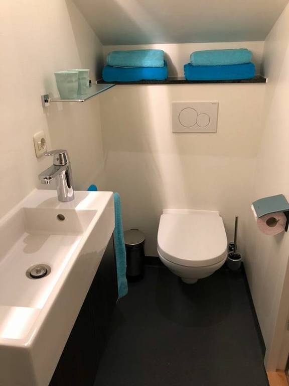 Badezimmer der Wilhelmina mit Toilette und Waschbecken
