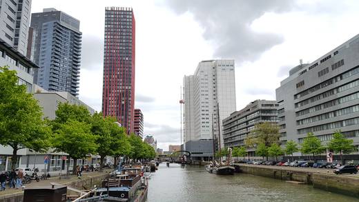 Gracht mit modernen Gebäuden und Bäumen in Rotterdam