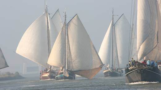 Traditionelle Segelschiffe fahren bei einer Regatta dicht beieinander