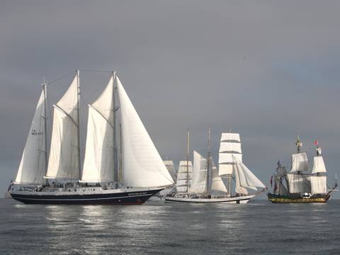 Dreimastschoner Eendracht unter Segeln zwischen anderen Großseglern
