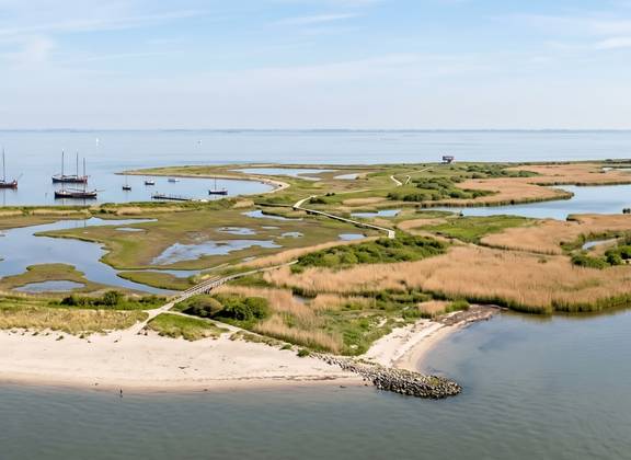 Luftaufnahme einer Insel der Marker Wadden im Markermeer