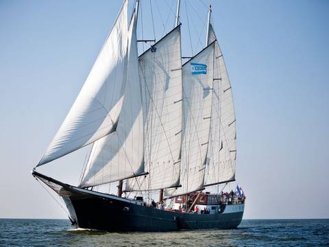 Dreimastklipper Mare fan Fryslân unter vollen Segeln